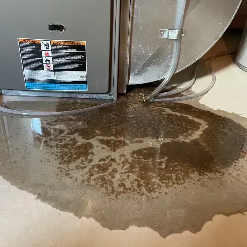 Appliance Leak Cleanup in Oldham County, KY